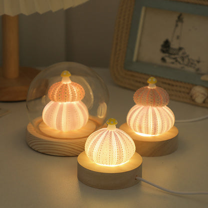 Handmade Shell & Sea Urchin Night Light