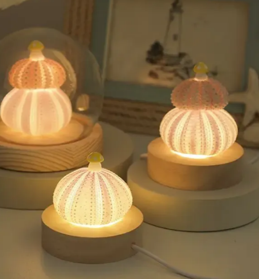 Handmade Shell & Sea Urchin Night Light