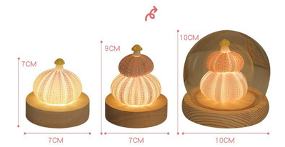 Handmade Shell & Sea Urchin Night Light