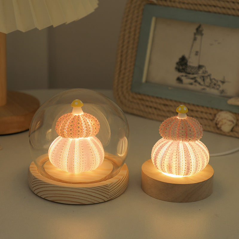 Handmade Shell & Sea Urchin Night Light