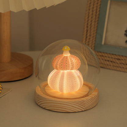 Handmade Shell & Sea Urchin Night Light