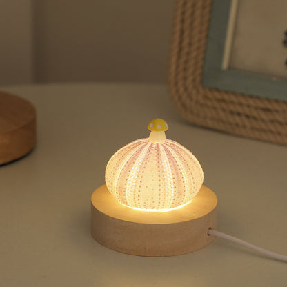 Handmade Shell & Sea Urchin Night Light