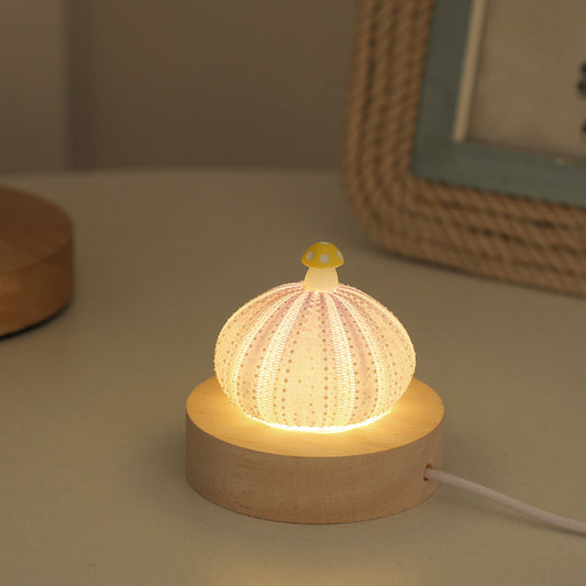 Handmade Shell & Sea Urchin Night Light