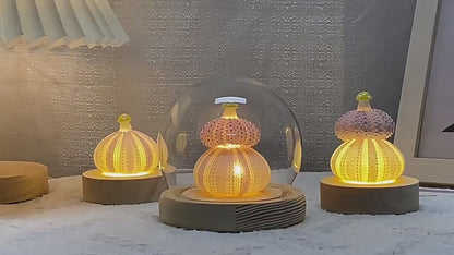 Handmade Shell & Sea Urchin Night Light